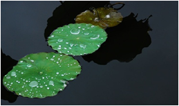 疏水疏油原理.jpg 疏水疏油原理.jpg